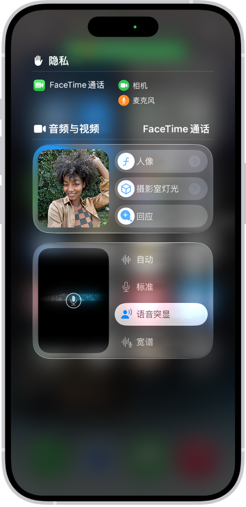 控制中心显示音频和视频效果的选项。