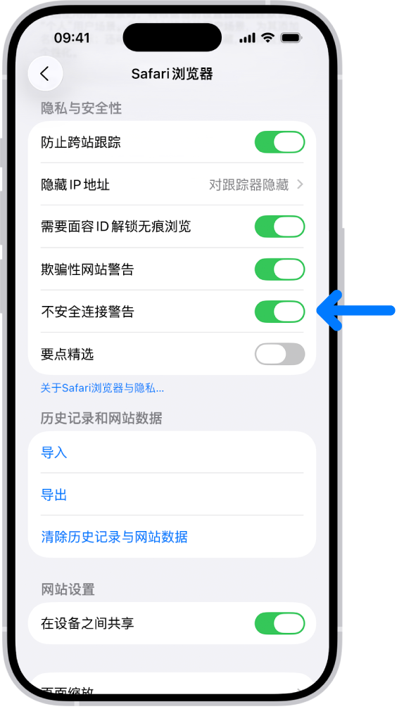 “不安全连接警告”控制，位于“设置”中 Safari 浏览器屏幕上的“隐私与安全性”下方。