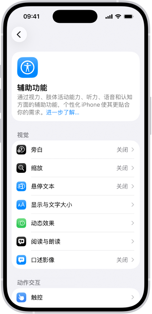 “设置”中的“辅助功能”屏幕显示“视觉”支持的内建功能。
