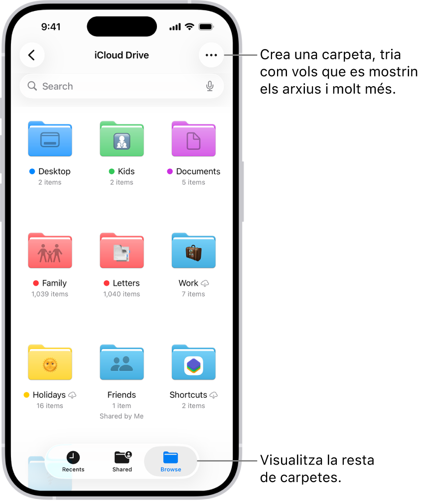 L’app Arxius mostra els arxius i les carpetes de l’iCloud Drive. Al menú “Més” hi ha les opcions per seleccionar ítems, crear una carpeta nova, escanejar documents i connectar-se a un servidor. A sota hi ha opcions per veure ítems a la pantalla com a icones o una llista. A la part inferior hi ha opcions per ordenar segons el nom, el tipus, la data, la mida i les etiquetes, seguides per la funció “Opcions de visualització”.