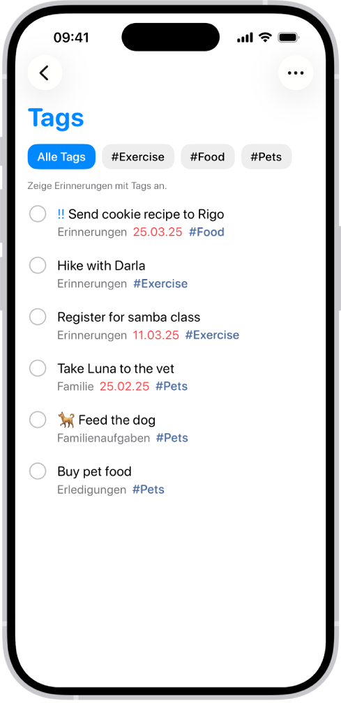 Eine Liste mit getaggten Erinnerungen in der App „Erinnerungen“. Oben eingeblendete Tasten zeigen weitere Tags, die du anwenden kannst.