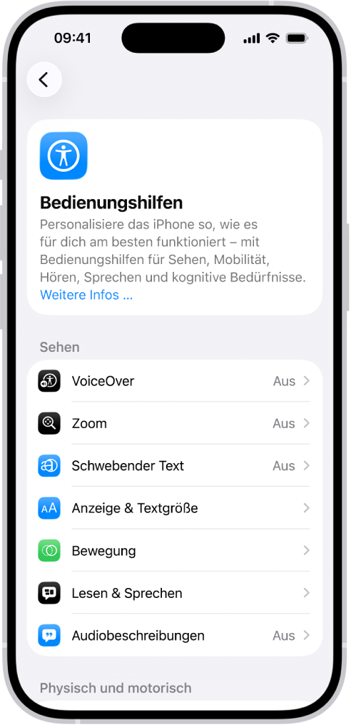 Der Bedienungshilfenbildschirm in der App „Einstellungen“ zeigt die integrierten Funktionen für Unterstützung bei „Sehen“ an.