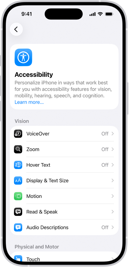 The Accessibility screen in Settings showing the built-in features for Vision support.