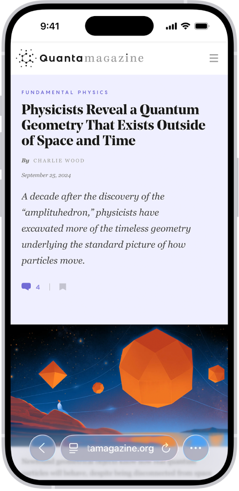 A website open in Safari, with the Compact tab layout. At the bottom, from left to right, are the Back button, Page menu button, search field, Reload button, and More button.