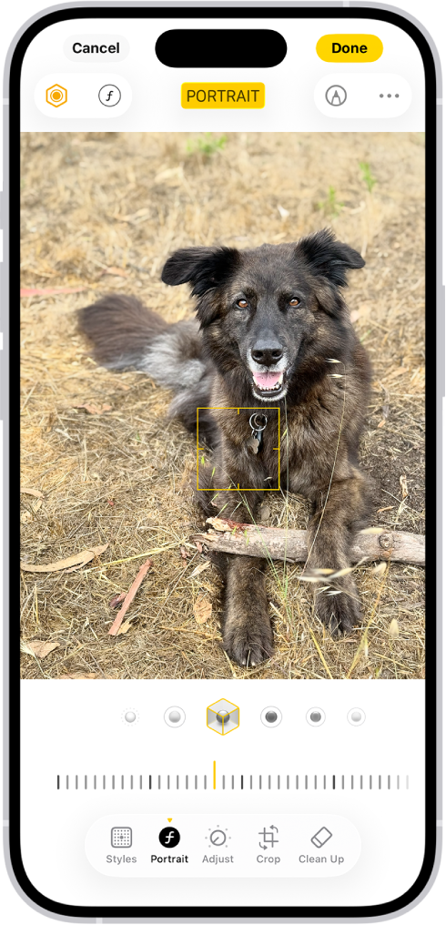 The Edit screen in the Photos app with a portrait in the center. Below the photo are the Portrait Lighting options. Studio Light is selected. Below that is a slider to adjust the level of the effect. At the bottom of the screen, from left to right, are the Portrait, Adjust, Filters, and Crop buttons. The Portrait button is selected.