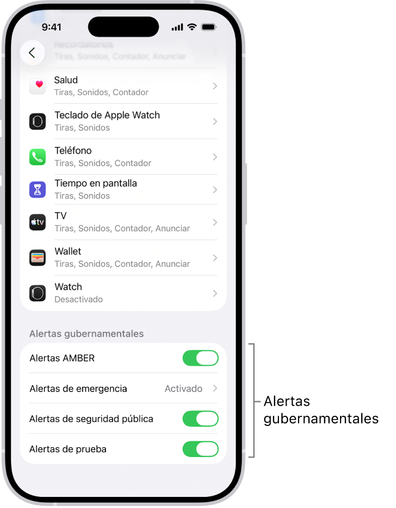 La pantalla Notificaciones mostrando la opción Alertas gubernamentales, la cual se puede activar para recibir estas alertas.