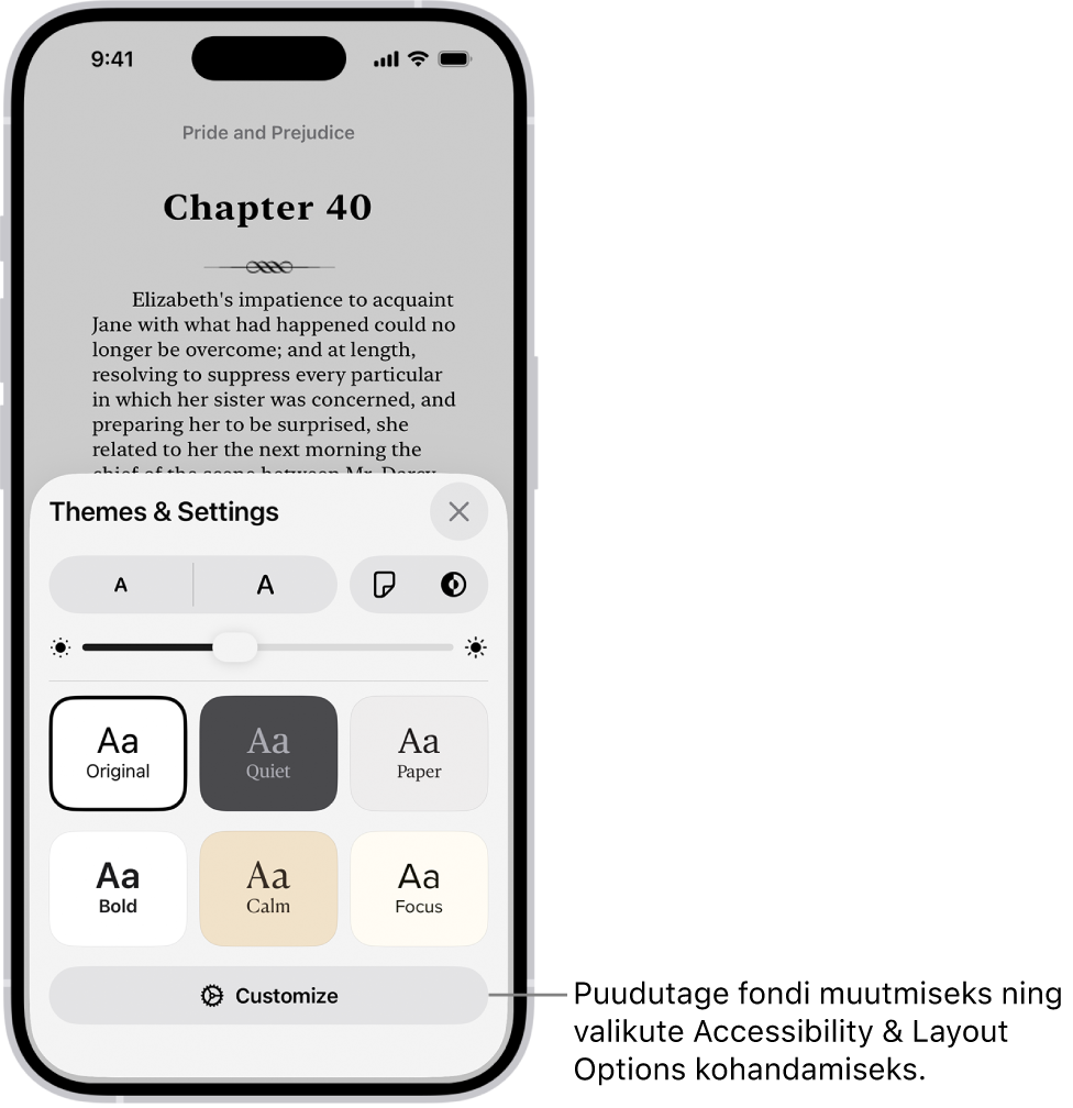 Rakenduses Books kuvatakse raamatu lehekülge. Valikutes Themes & Settings kuvatakse juhikuid fondi suuruse, kerimisvaate, lehekülje keeramise stiili, heleduse ja fondi stiilide valimiseks.