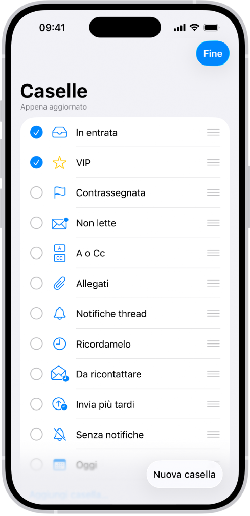 La scherma di modifica delle caselle. Le caselle opzionali sono elencate dall’alto al basso con un segno di spunta sulla sinistra di ogni opzione. Nell’angolo in basso a destra dello schermo è presente un pulsante “Nuova casella”.