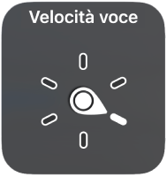 Controllo rotore con l’ago rivolto verso l’impostazione della velocità di pronuncia.