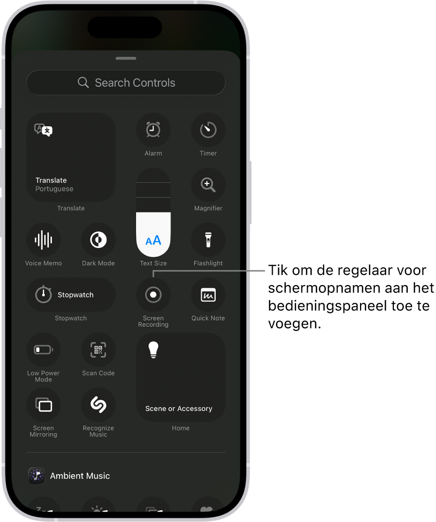 Een scherm met regelaars die je aan het bedieningspaneel kunt toevoegen. De regelaar 'Schermopname' staat ongeveer in het midden.