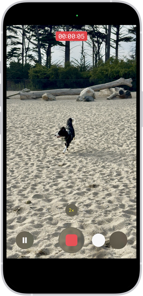 Het camerakader vult het scherm. Onder in het scherm wordt de sluiterknop van links naar rechts verplaatst, waarmee de beweging voor het starten van een QuickTake-video wordt gedemonstreerd.