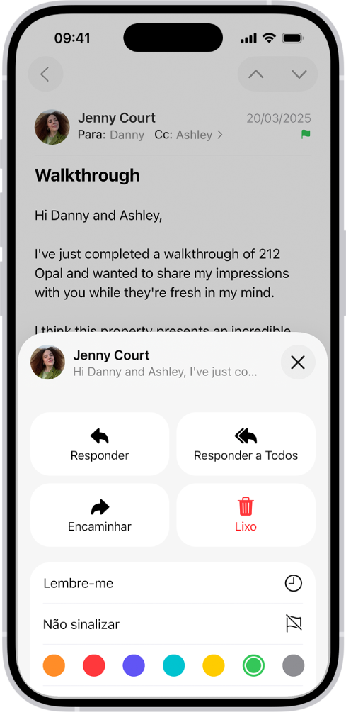Uma mensagem mostrando opções de resposta na metade inferior da tela, incluindo o botão Não Sinalizar e opções de cores para sinalização.