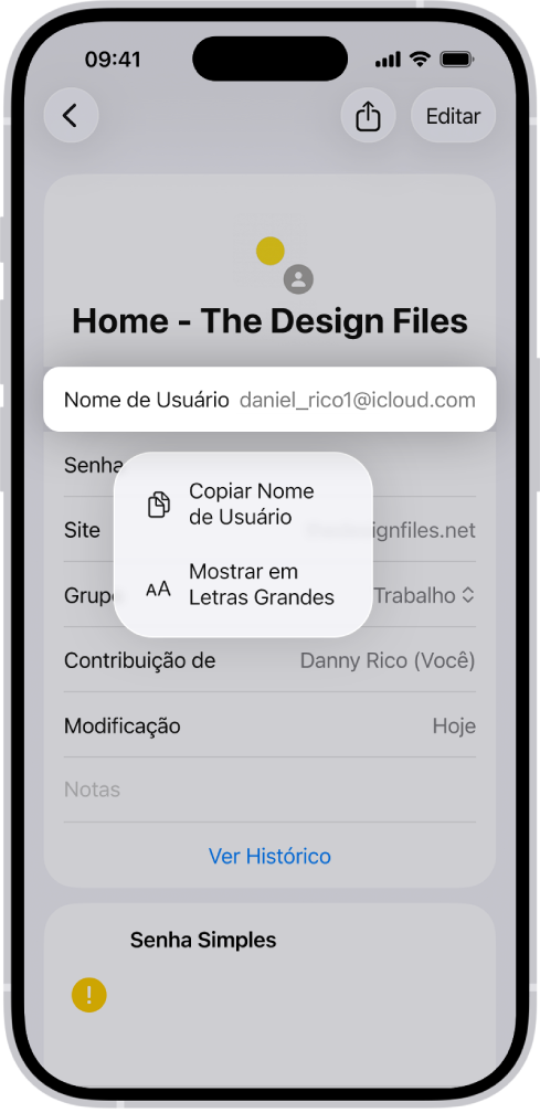 Tela de uma conta mostrando o nome de usuário destacado, com as opções Copiar Nome de Usuário e Mostrar em Letras Grandes.