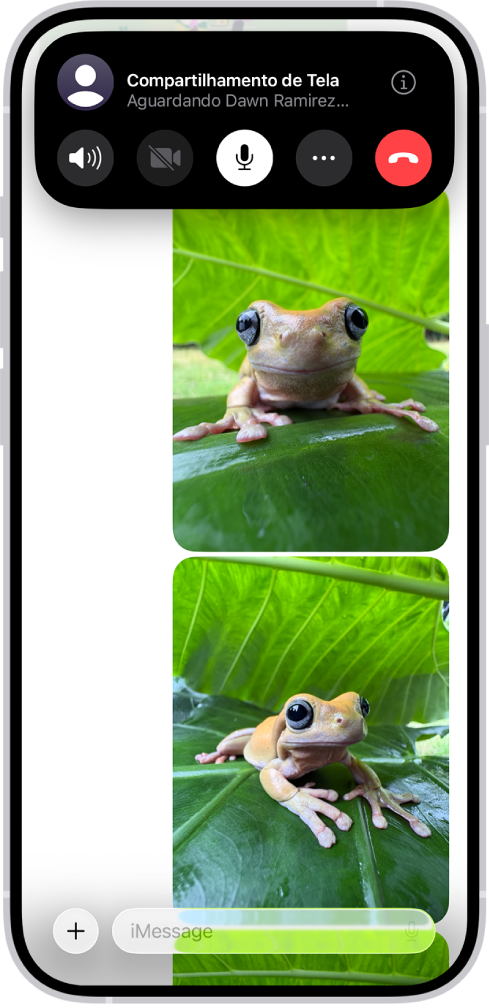 Uma solicitação pendente para compartilhar uma tela no app Mensagens.