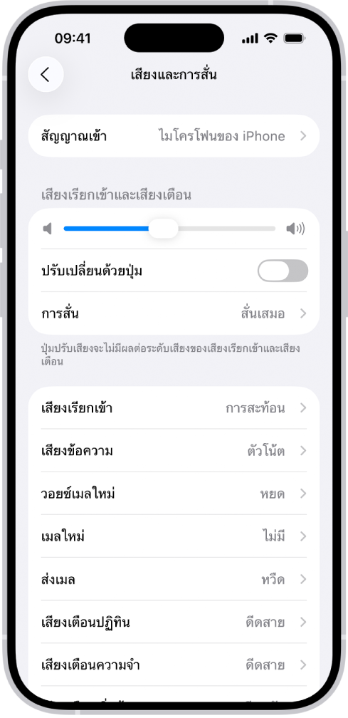 หน้าจอเสียงและการสั่นในการตั้งค่า