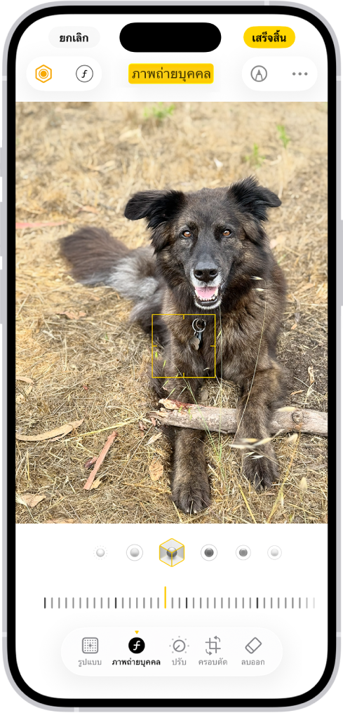 หน้าจอแก้ไขในแอปรูปภาพที่มีภาพถ่ายบุคคลตรงกึ่งกลาง ที่ด้านล่างรูปภาพคือตัวเลือกการจัดแสงภาพถ่ายบุคคล แสงไฟสตูดิโอถูกเลือกอยู่ ถัดลงมาเป็นแถบเลื่อนสำหรับปรับระดับเอฟเฟ็กต์ ด้านล่างสุดของหน้าจอโดยเรียงจากซ้ายไปขวา คือปุ่มภาพถ่ายบุคคล ปุ่มปรับ ปุ่มฟิลเตอร์ และปุ่มครอบตัด ปุ่มภาพถ่ายบุคคลถูกเลือกอยู่