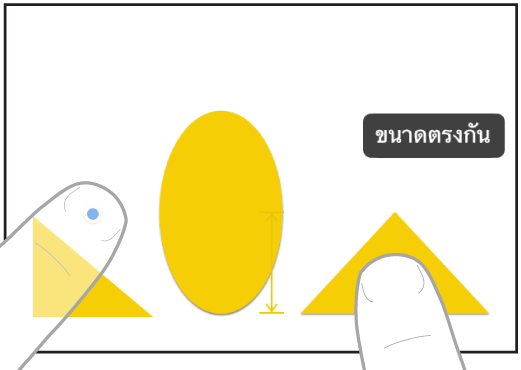 สองนิ้วของมือสองข้างกำลังเลือกและทำให้ขนาดของสองรายการตรงกันใน Freeform