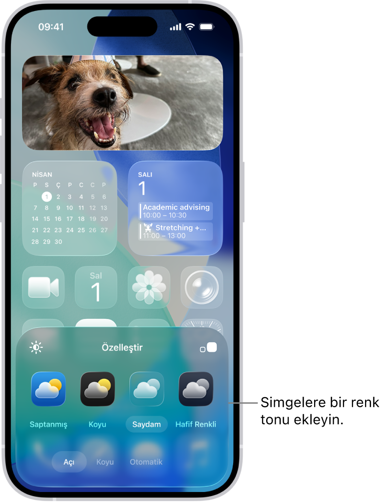 Mavi tonunda ve fotoğrafı çerçeveleyecek şekilde düzenlenmiş şeffaf simgeler ve ekranın en altında simgeleri özelleştirme denetimleri ile özelleştirilmiş bir ana ekran. Seçenekler arasında Otomatik, Koyu, Açık ve Hafif Renkli düğmeleri, rengi ve renk doygunluğunu seçme seçenekleri ve simge boyutunu ayarlamaya yönelik Küçük ve Büyük düğmeleri sayılabilir.