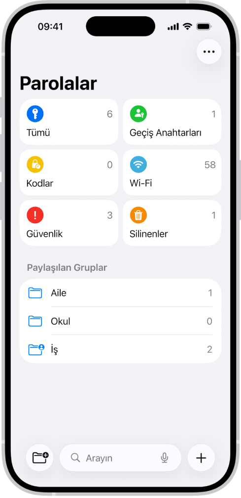 Tümü, Geçiş Anahtarları, Doğrulama Kodları, Wi-Fi, Güvenlik ve Silinenler düğmeleri ve Paylaşılan Gruplar listesi ile birlikte Parolalar uygulamasının Ana Ekran’ı.