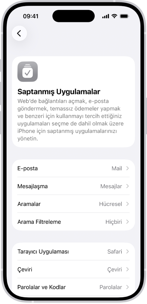 E-posta gönderme, web’de dolaşma ve daha fazlasına yönelik saptanmış uygulamalarınızı değiştirme ekranı.