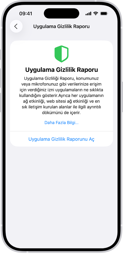 Uygulama Gizlilik Raporu, Veri ve Sensör Erişimi kategorisinde uygulamalar hakkındaki bilgileri ve Uygulama Ağ Aktivitesi kategorisinde uygulamalar hakkındaki bilgileri listeliyor.