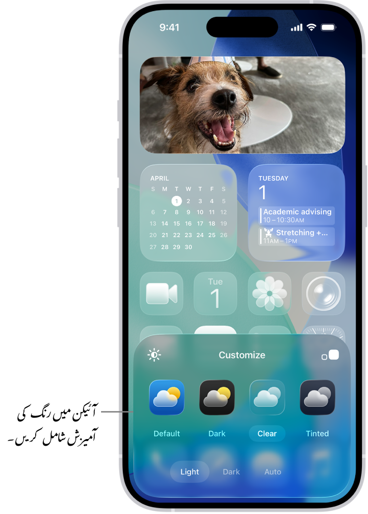 حسب خواہش ہوم اسکرین جس میں نیلے رنگ کے آئیکن ہیں اور تصویر کو فریم کرنے کے لیے منظم کیے گئے ہیں اور آئیکن کو حسب خواہش بنانے کے لیے اسکرین کے نچلے حصے میں کنٹرول بھی دیے گئے ہیں۔ اختیارات میں آٹومیٹک، تاریک، روشن اور ٹِنٹڈ بٹن شامل ہیں، رنگ اور سیچوریشن منتخب کرنے کے اختیارات نیز آئیکن کے سائز سیٹ کرنے کے لیے چھوٹے اور بڑے بٹن شامل ہیں۔
