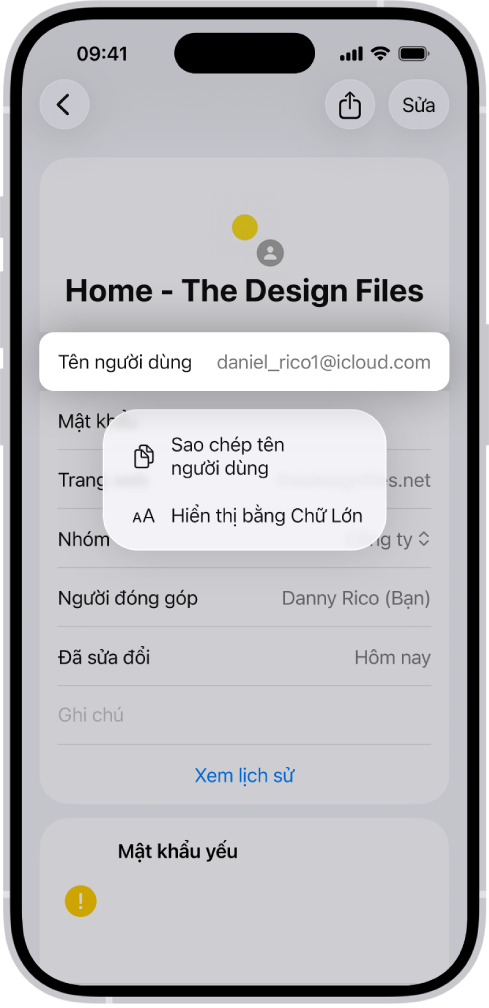 Một màn hình tài khoản đang hiển thị tên người dùng được tô sáng, với các tùy chọn để Sao chép tên người dùng và Hiển thị bằng chữ lớn.