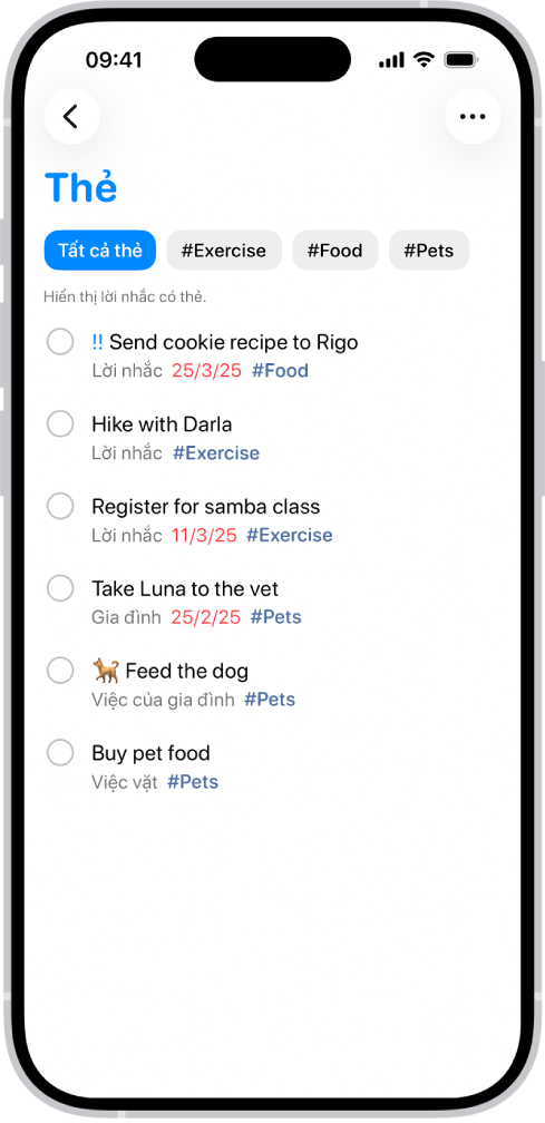 Một danh sách gồm các lời nhắc được gắn thẻ trong ứng dụng Lời nhắc. Các nút dọc theo trên cùng hiển thị các thẻ bổ sung mà bạn có thể áp dụng.
