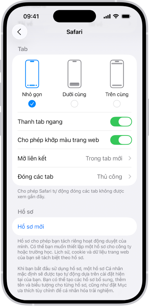Một màn hình đang hiển thị ba tùy chọn bố cục Safari: Nhỏ gọn, Dưới cùng và Trên cùng.