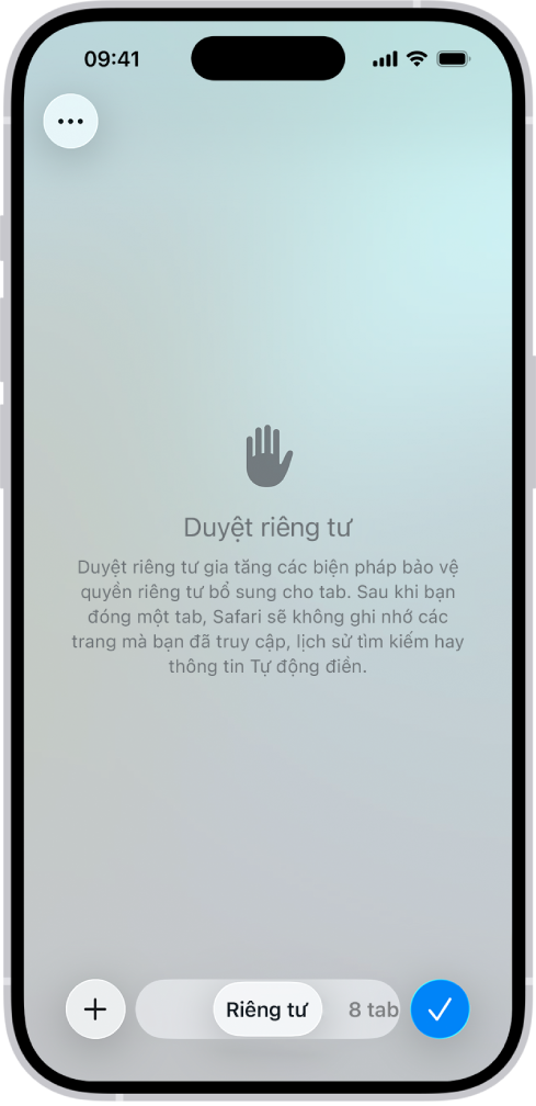Một màn hình Duyệt riêng tư trong ứng dụng Safari. Từ Riêng tư xuất hiện trong trường ở cuối màn hình.