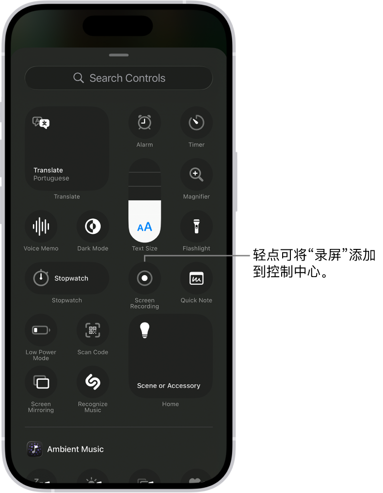 屏幕显示可添加至控制中心的控制。“录屏”控制位于中央附近。