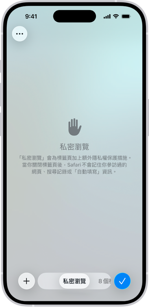 Safari App 中的「私密瀏覽」畫面。螢幕底部的欄位中顯示「私密」字樣。