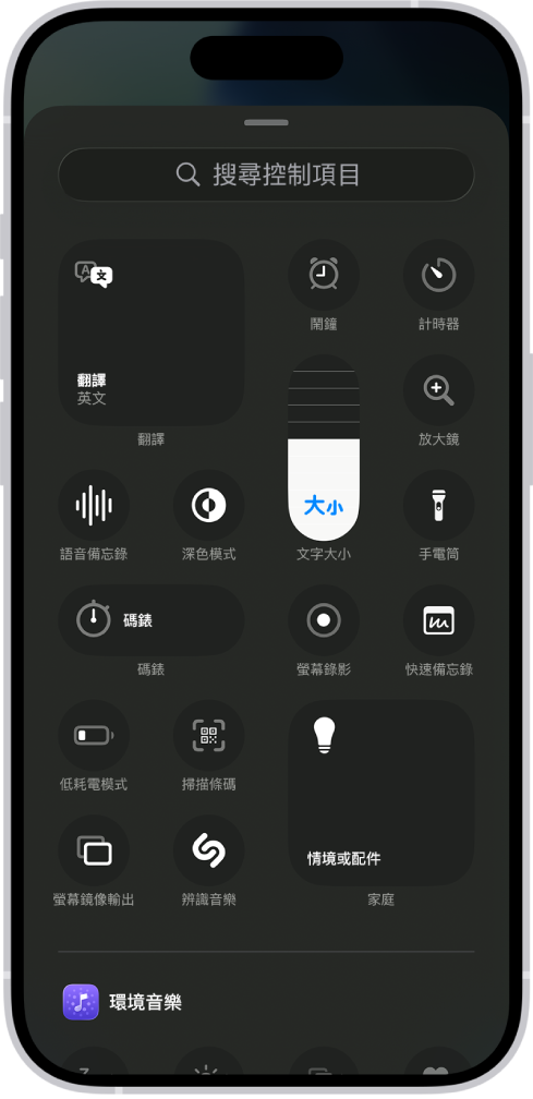 控制項目資料庫顯示所有可用的「控制中心」控制項目。