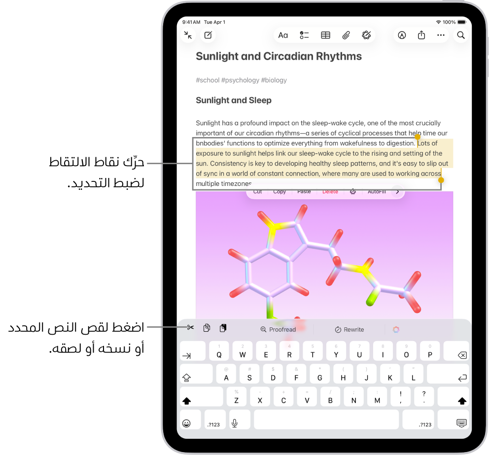 نص محدد في ملاحظة في تطبيق الملاحظات. تظهر فوق النص المحدد قائمة أزرار من ضمنها قص ونسخ ولصق. النص المحدد مميز، مع نقاط الالتقاط لضبط التحديد على كلا الطرفين.