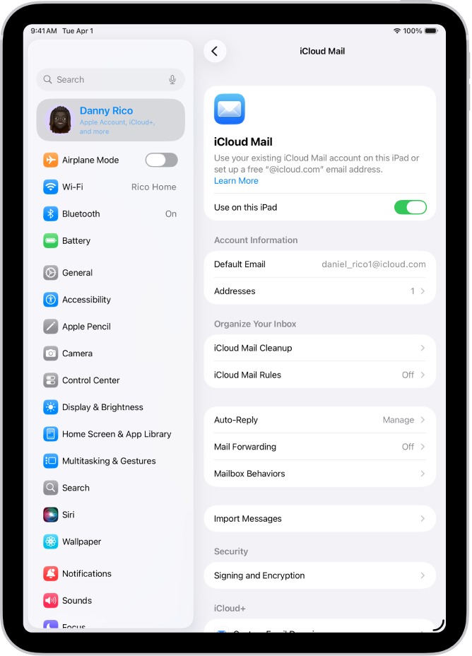 Приложението Настройки, което е отворено в екран iCloud поща. Персонализиран имейл домейн е в долната част на менюто.