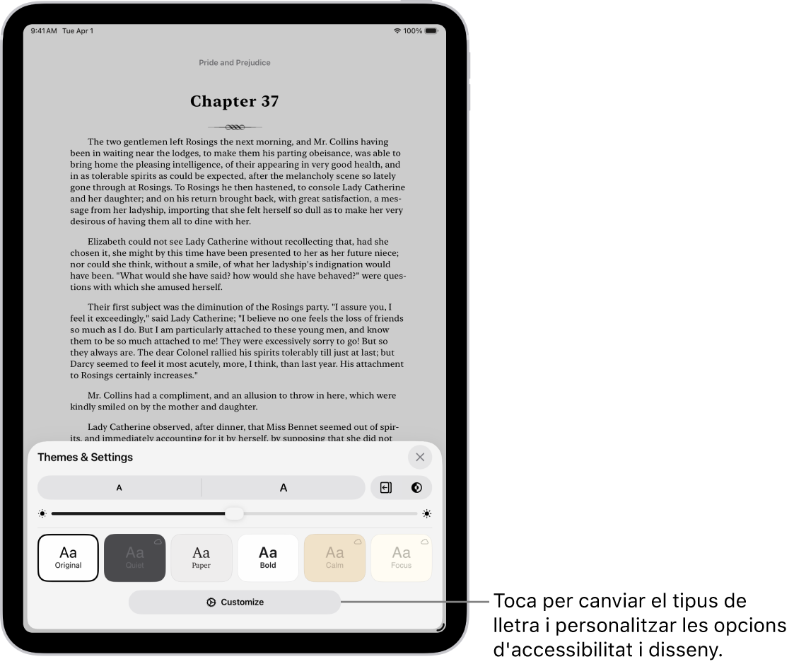 Pàgina d’un llibre a l’app Llibres. Les opcions de temes i configuració mostren els controls de mida de lletra, vista de desplaçament, estil en girar els fulls, brillantor i estils de lletra.