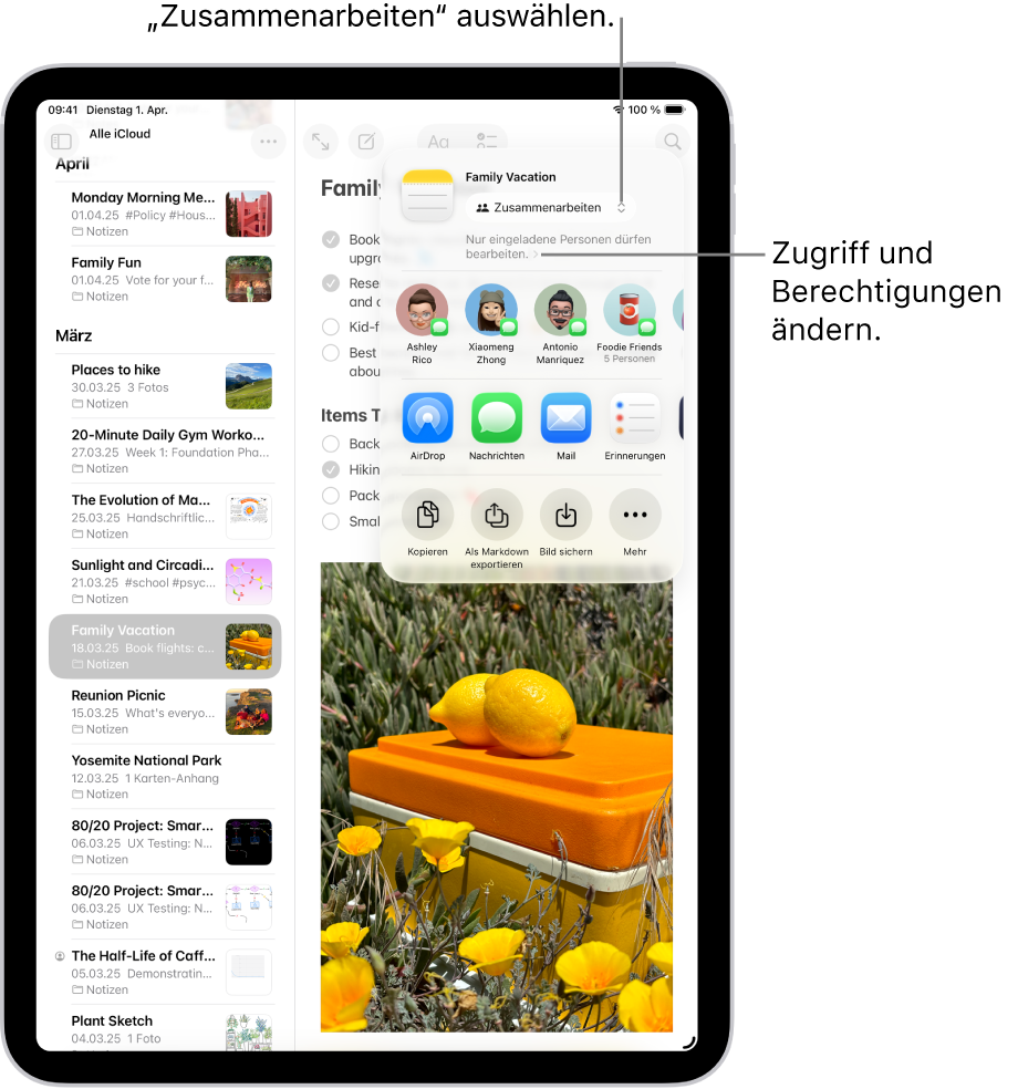 Eine Einladung zum Zusammenarbeiten an einer Checkliste in der App „Notizen“, in der die Freigabeoption „Zusammenarbeiten“ und die Zugriffs- und Berechtigungseinstellung „Nur von dir eingeladene Personen dürfen bearbeiten“ angezeigt wird. Vier potenzielle Empfänger:innen, darunter eine Gruppe, werden in einer Zeile darunter angezeigt. Die nächste Zeile enthält verschiedene Möglichkeiten zum Teilen der Notiz: „AirDrop“, „Nachrichten“, „Mail“ und „Erinnerungen“. Die letzte Reihe enthält Tasten zum Kopieren, Exportieren und Sichern der Notiz.