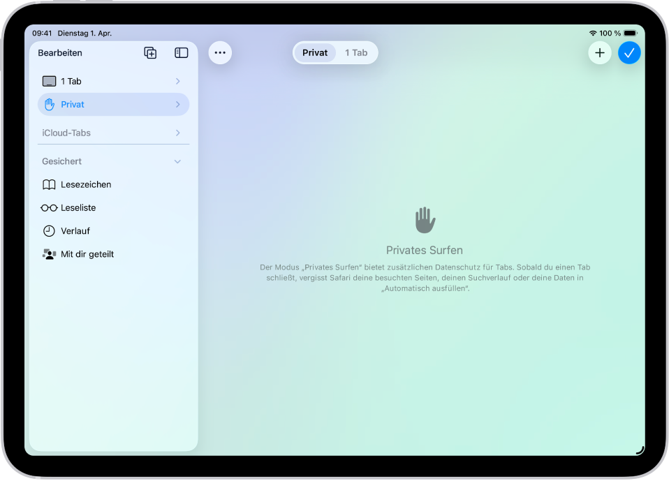 Die Safari-Seitenleiste am linken Rand des Safari-Fensters, in der „Privat“ ausgewählt ist. Auf der rechten Seite befindet sich eine Erklärung, dass Safari deine Surfdaten nicht speichert.
