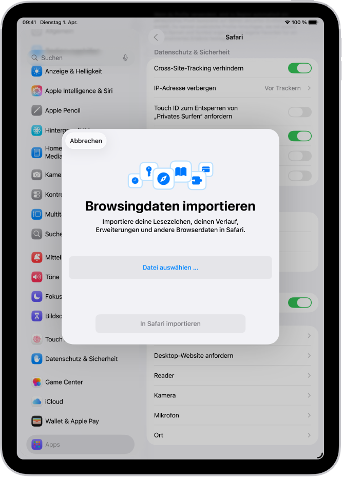 Der Bildschirm „Browsingdaten importieren“ mit den Daten von einem anderen Browser, die in Safari importiert werden sollen.