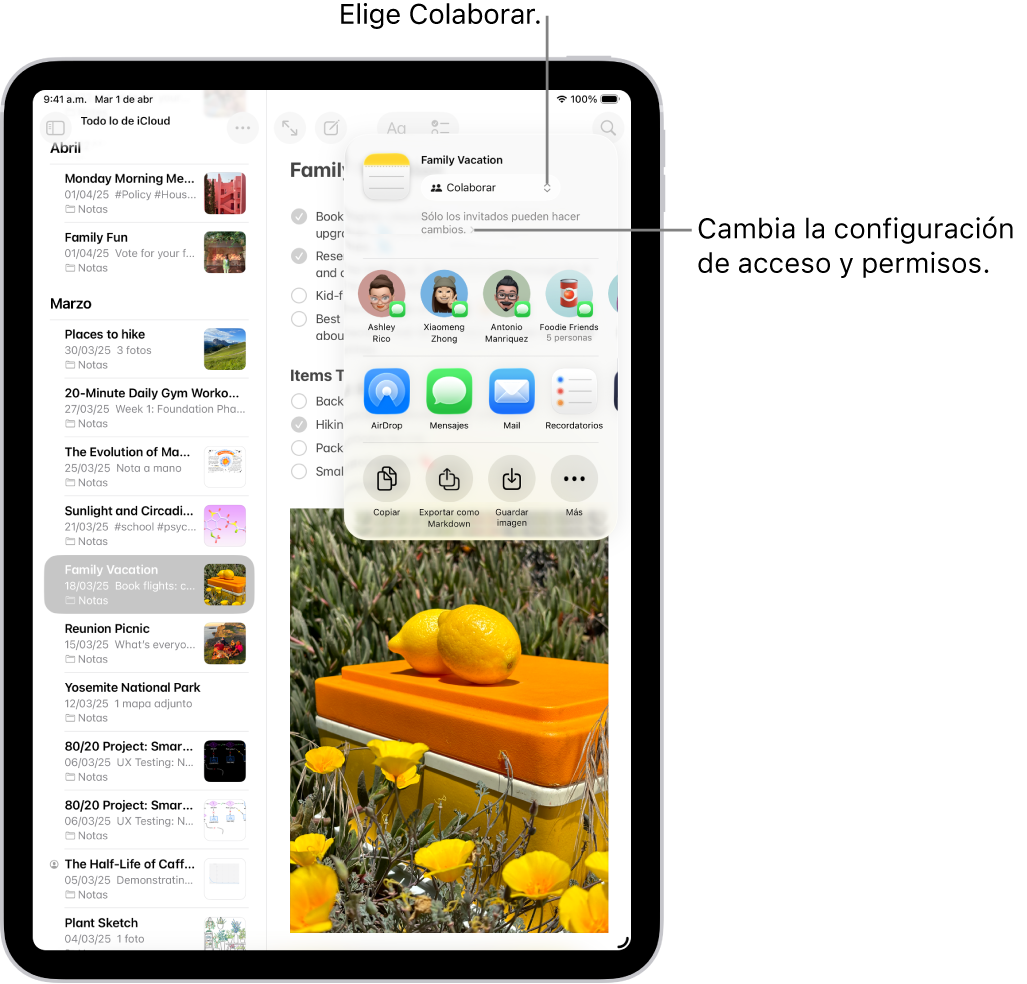 Una invitación a colaborar en una lista de control en Notas que muestra que la colaboración está activa con la configuración de acceso y permiso Sólo tus invitados pueden hacer cambios. Cuatro posibles destinatarios, incluyendo un grupo, forman una fila debajo. La siguiente fila ofrece diferentes formas de compartir la nota: AirDrop, Mensajes, Mail y Recordatorios. La última fila contiene botones para copiar, exportar y guardar la nota.
