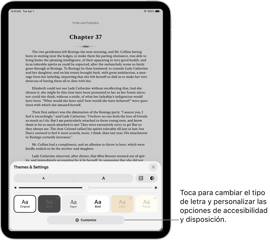 Página de un libro en la app Libros. Las opciones de temas y ajustes con los controles de tamaño de la letra, la vista del desplazamiento, el estilo al pasar de página, el brillo y los estilos del tipo de letra.