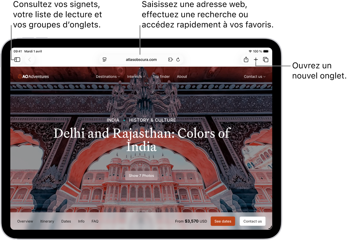 Une page web ouverte. Dans la partie supérieure, de gauche à droite, se trouvent le bouton « Barre latérale », le bouton Précédent, le champ de recherche, le bouton Partager, le bouton « Nouvel onglet » et le bouton « Aperçu des onglets ».