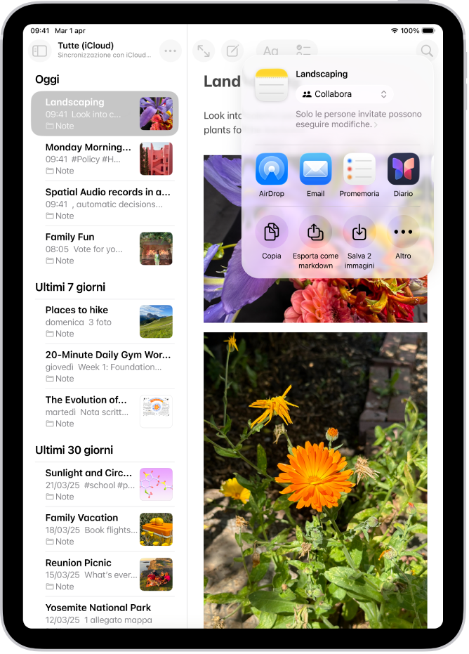 La schermata per condividere una foto, con le opzioni di condivisione subito sotto la foto aperta, compreso il pulsante Altro per modificare le opzioni.