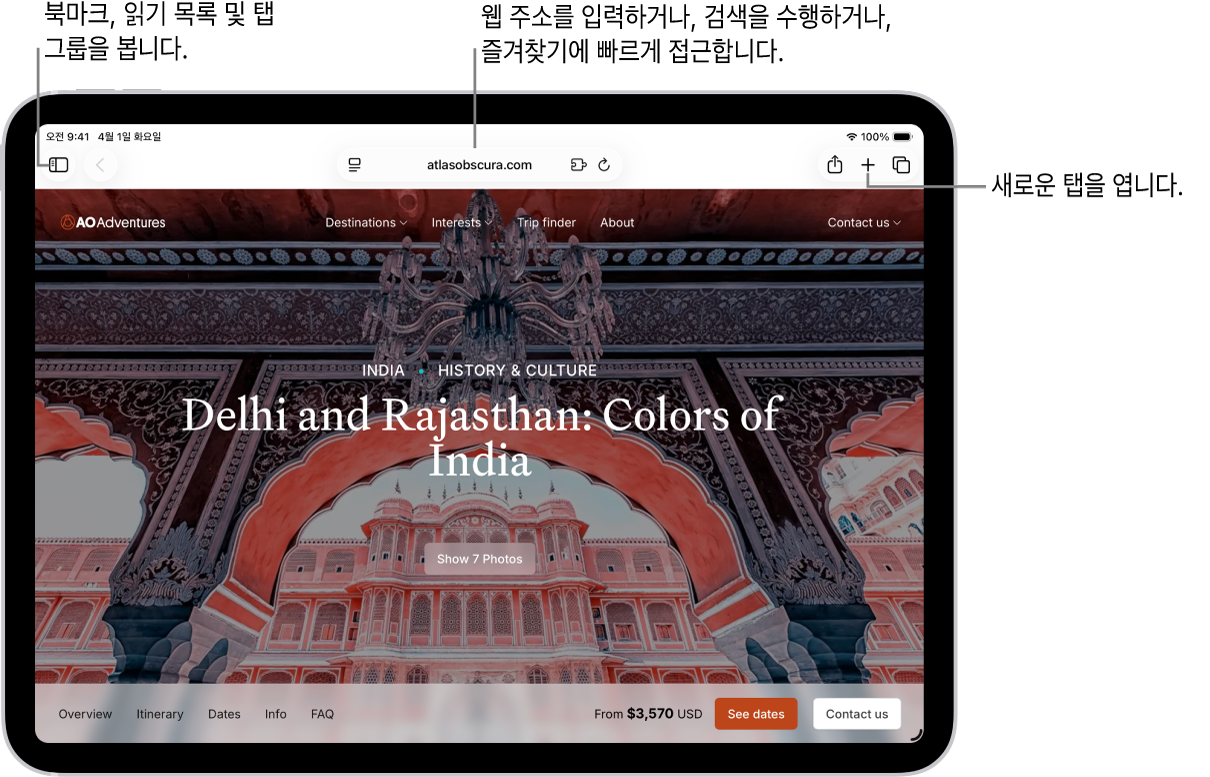 열려 있는 웹 페이지. 상단에는 왼쪽에서 오른쪽으로 사이드바 버튼, 이전 및 뒤로 버튼, 검색 필드, 공유 버튼, 새로운 탭 버튼, 탭 개요 버튼이 있음.