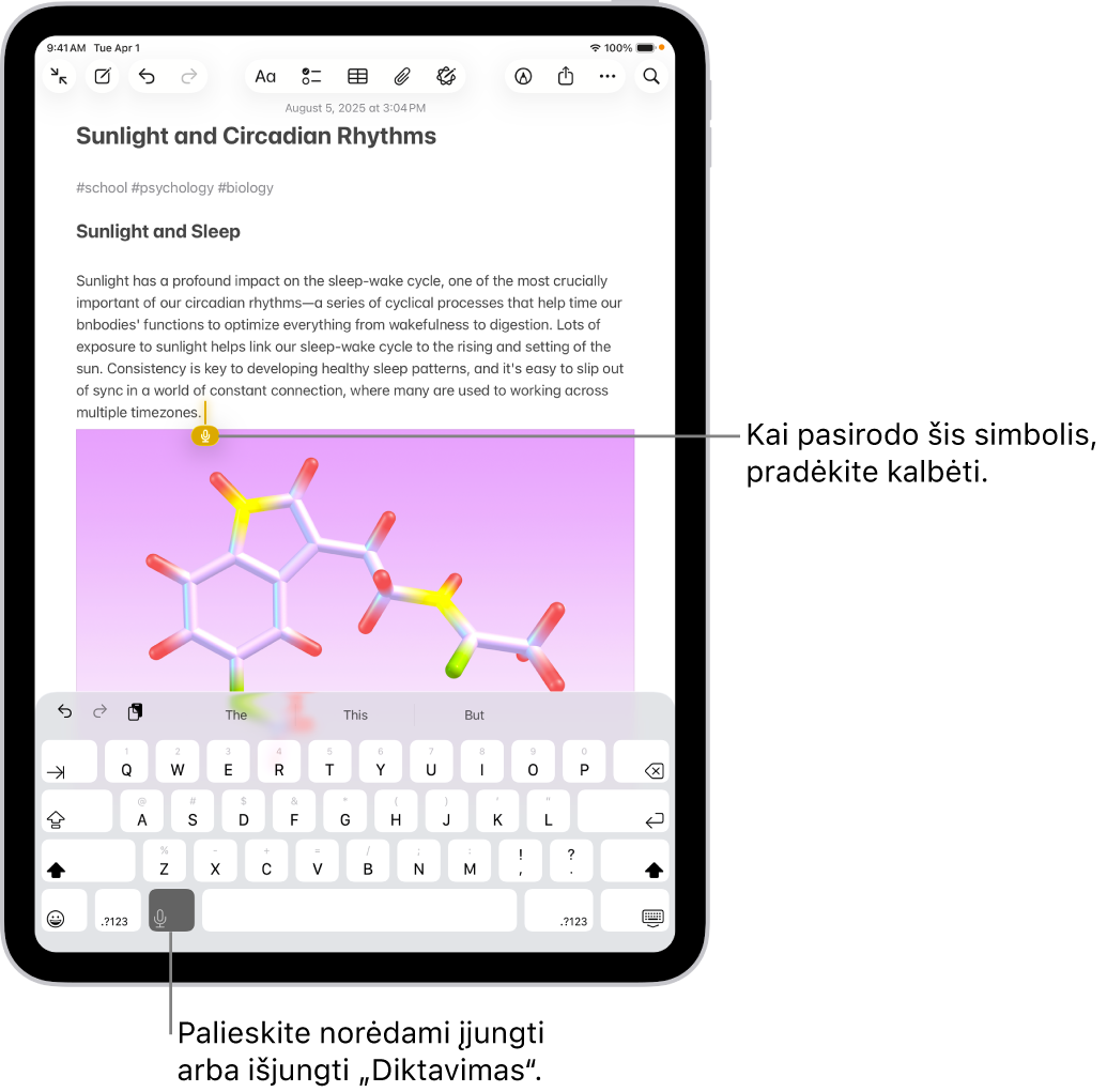 Ekraninė klaviatūra atidaryta programoje „Užrašai“. Pasirinktas klaviatūros apačioje esantis mygtukas „Diktavimas“, kuris atsiranda po įterpimo tašku teksto lauke.