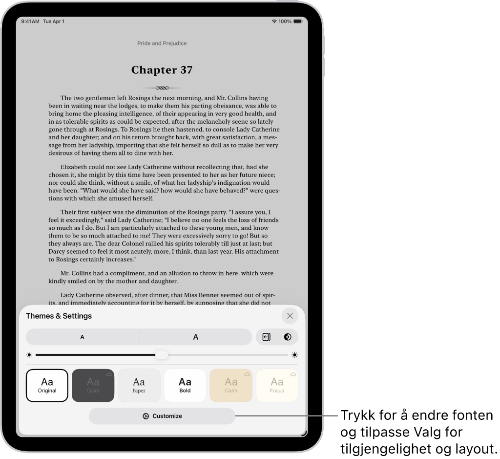 En bokside i Bøker-appen. Temaer og innstillinger-valg viser kontroller for fontstørrelse, rullevisning, stil for å bla om, lysstyrke og fontstiler.