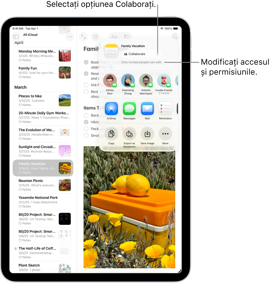 O invitație de a colabora la o listă de control din Notițe, afișând Colaborare pentru opțiunea de partajare și „Doar persoanele pe care le invitați pot edita” drept configurare pentru acces și permisiune. Patru posibili destinatari, inclusiv un grup, formează un rând sub acestea. Rândul următor oferă diferite modalități de a partaja notița: AirDrop, Mesaje, Mail și Mementouri. Ultimul rând conține butoanele pentru copiat, exportat și salvat notița.