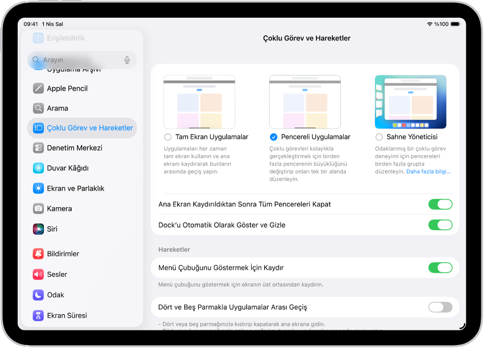 Çoklu Görev ve Hareketler ayarlarını gösteren bir iPad penceresi.