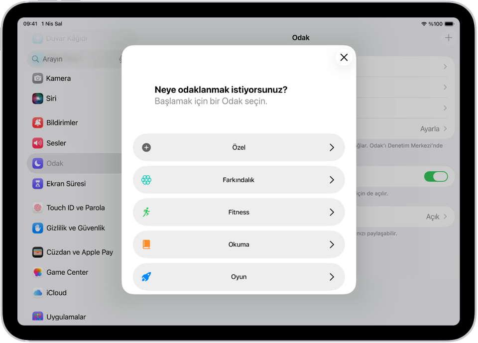 Özel, Fitness, Oyun, Farkındalık ve Okuma da dahil olmak üzere sağlanan ek Odak seçenekleri için Odak ayarlama ekranı.