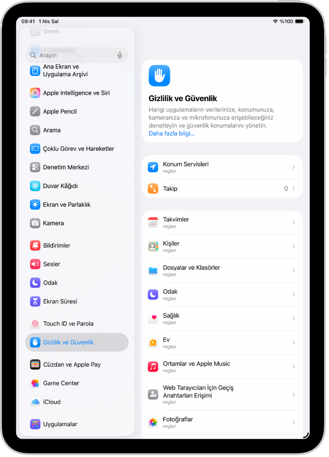 Gizlilik ve Güvenlik ayarlarında, ayrı ayrı uygulamalar için özel ayarlar da dahil olmak üzere iPad’inizin konumunu paylaşma seçenekleri ile Konum Servisleri ayarları.